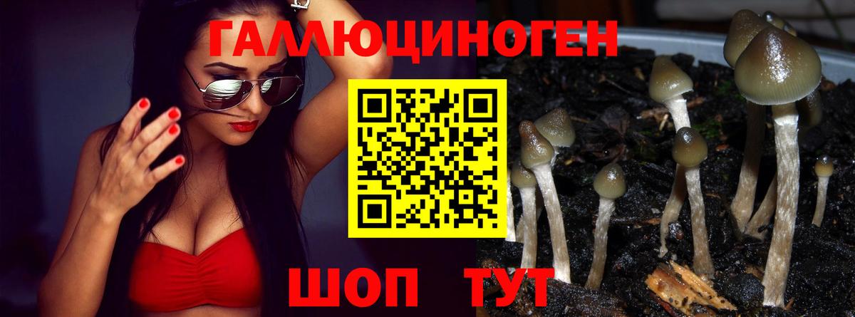 сколько стоит  Галлюциногенные грибы Cubensis  Вход с VPN  Борисоглебск 